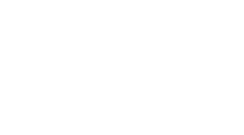 STPI Logo